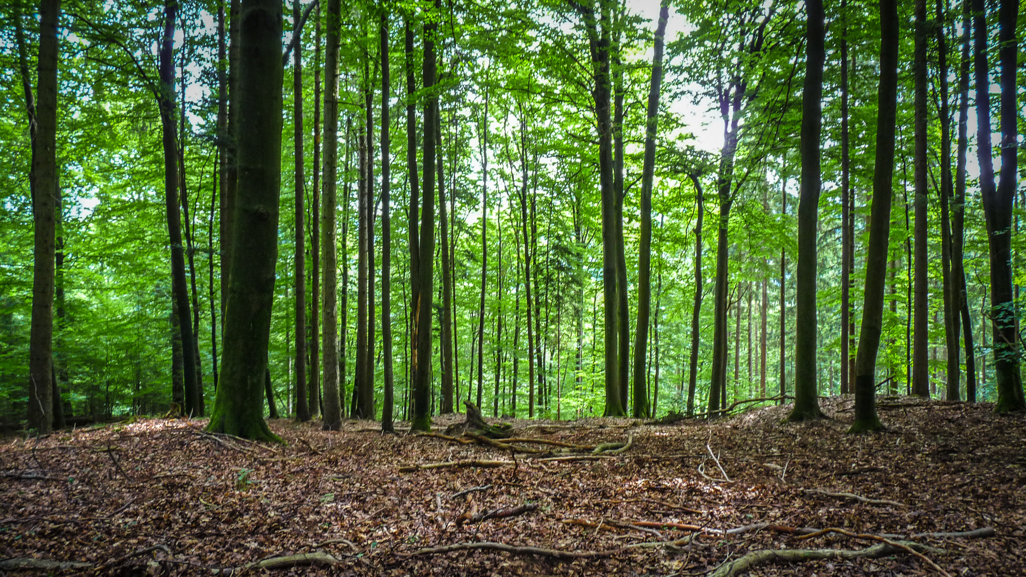 20210725104240 1130838